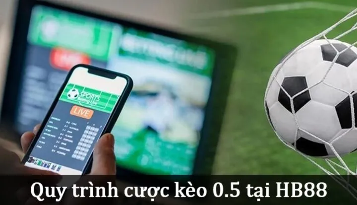 Quy trình cá cược theo Kèo 0.5